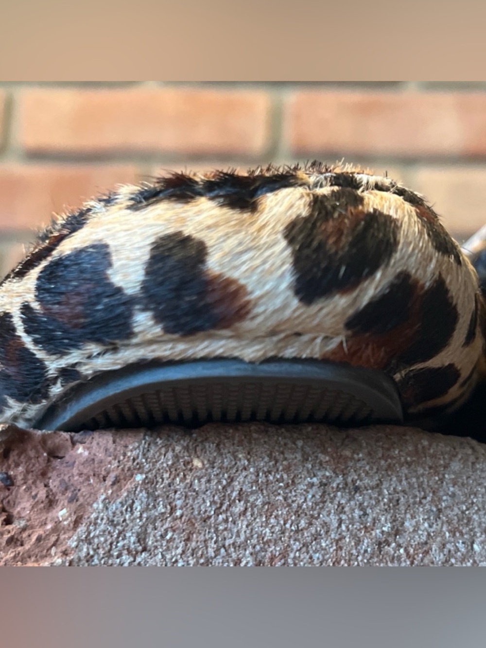 GH Bass Leather-lined Calf Fur Leopard Print Penny Loafers - Women 8.5 - Picture 6 of 11